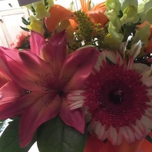 Meet your Posher, Misty