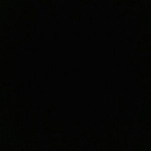 Meet your Posher, Elizabeth l