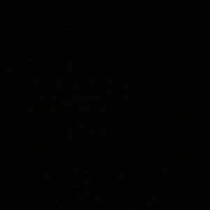 Meet your Posher, Lilly