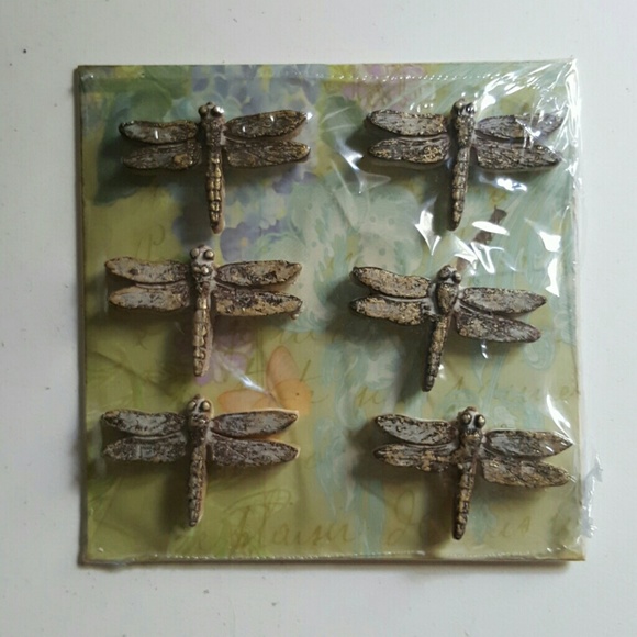 6 dragonfly magnets, heavy, never opened