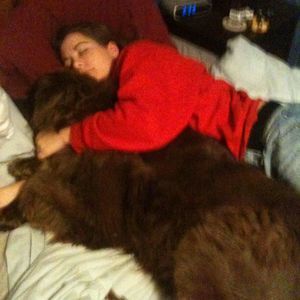 Meet your Posher, Ellen