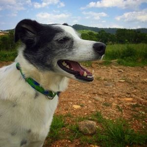 Meet your Posher, Virginia