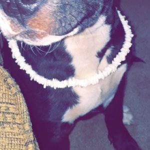 A beach necklace. Paid 25$ for it ask for 20$/15$