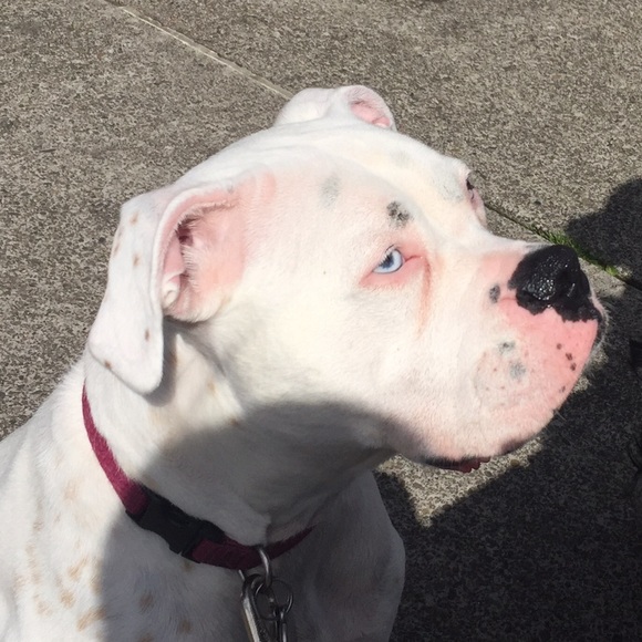 Meet your Posher,  @cutiee23 - Picture 6 of 7