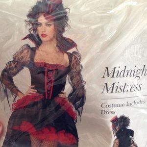 Midnight Mistress Halloween Costume