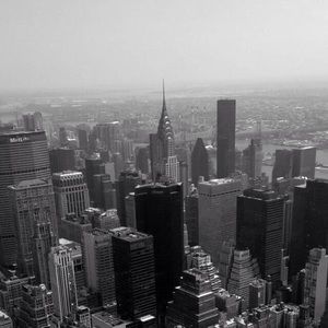 Meet your Posher, Bridget