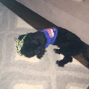 Meet your Posher, Frances