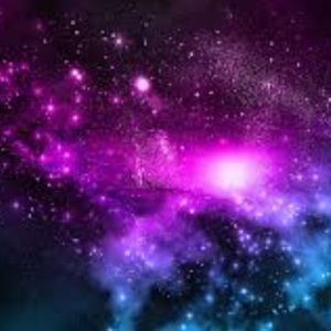 Meet your Posher, Reagan