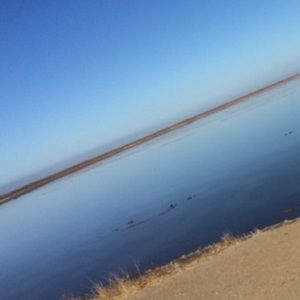 Meet your Posher, Ha