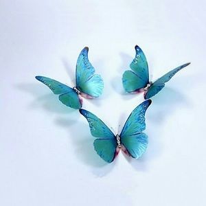 Meet your Posher, Doris