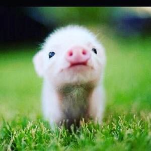 Meet your Posher, Briana