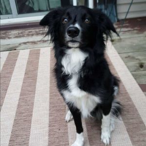 Meet your Posher, Willow