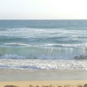 Meet your Posher, Mimi