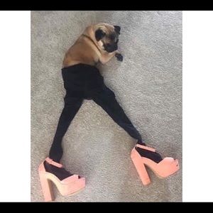 Meet your Posher, Sydney