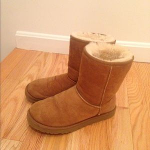short chestnut uggs