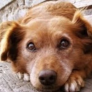 Meet your Posher, Jada