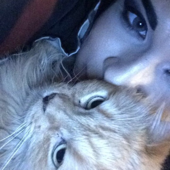 Meet your posher - Picture 4 of 8