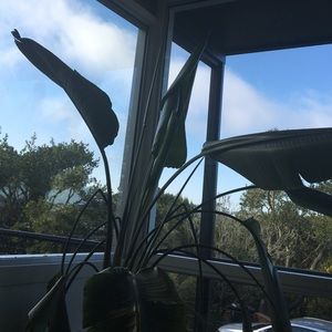 Meet your Posher, Adam