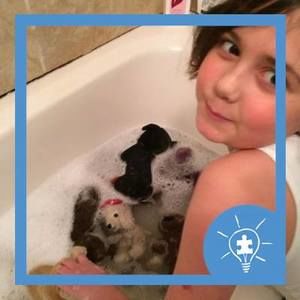 Meet your Posher, Sandy