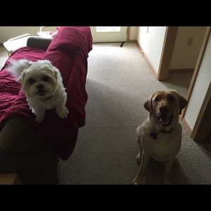 Meet your Posher, Katie