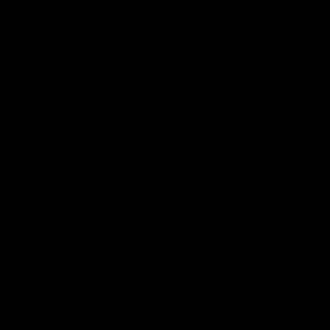 Meet your Posher, Joyelle