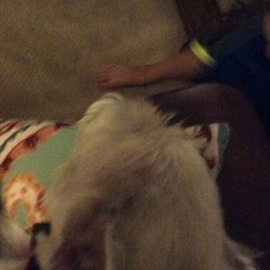 Meet your Posher, Erica