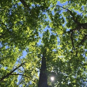 Meet your Posher, Joe