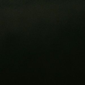 Meet your Posher, Roona