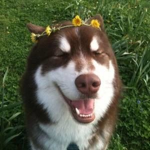 Meet your Posher, Whitney