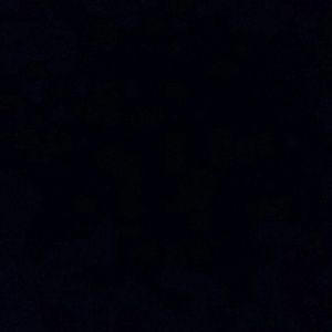 Meet your Posher, Harry