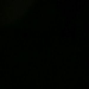 Meet your Posher, Shania