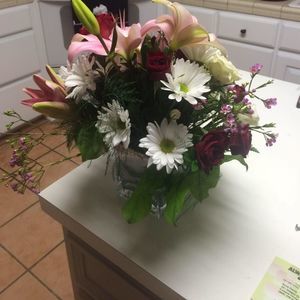 Meet your Posher, Nora