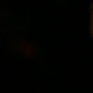 Meet your Posher, Heidi