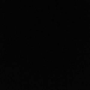 Meet your Posher, Rae