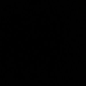 Meet your Posher, Hanna