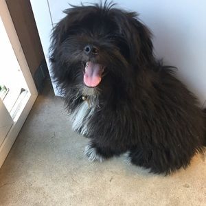 Meet your Posher, Arisel