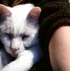 Meet your Posher, Carol