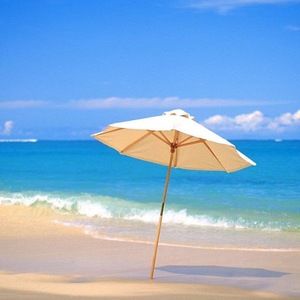 Meet your Posher, Sylvia