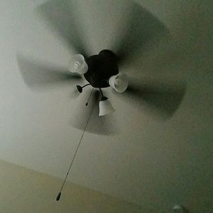 Meet your Posher, Lynn