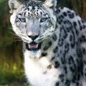 Meet your Posher, Georgina