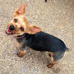 Meet your Posher, Lynn