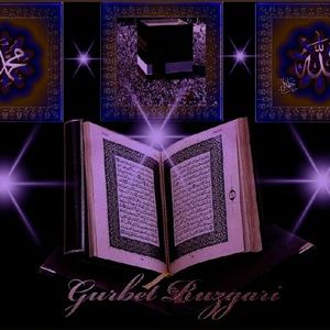 Meet your Posher, Bernard