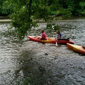 Meet your Posher, Diane