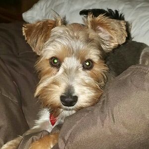 Meet your Posher, Erin