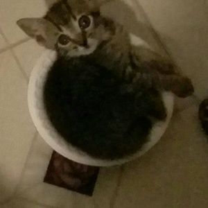 Meet your Posher, Jen