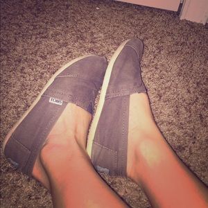 Gray toms