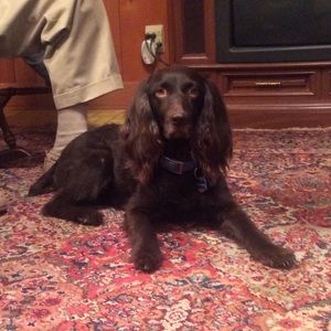 Meet your Posher, Sarah