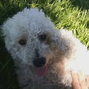 Meet your Posher, Yesenia