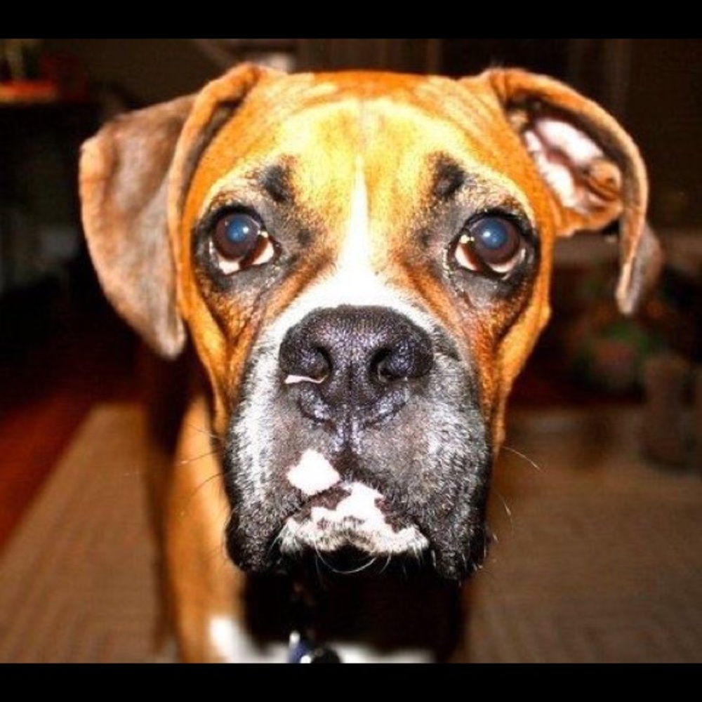 Meet your Posher, C.