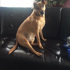 Meet your Posher, Jamie